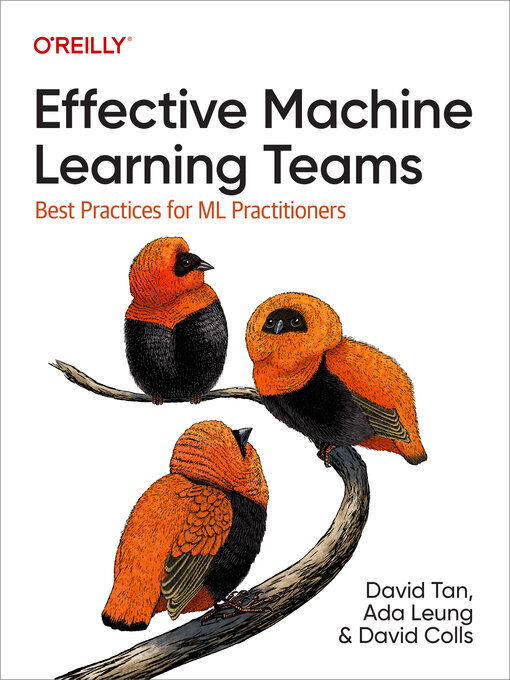 Title details for Effective Machine Learning Teams by David  Tan - Available